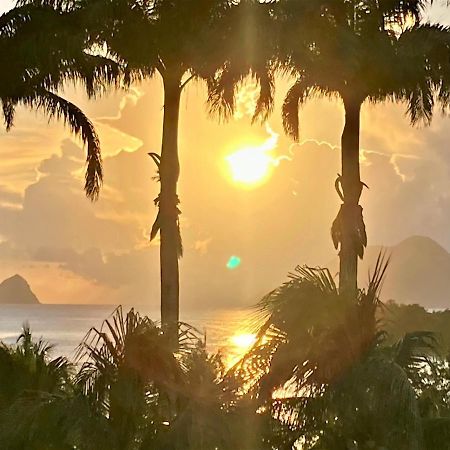 Superbe Studio Martinique Vue Rocher Du Diamant 圣吕斯 外观 照片