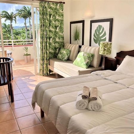 Superbe Studio Martinique Vue Rocher Du Diamant 圣吕斯 外观 照片