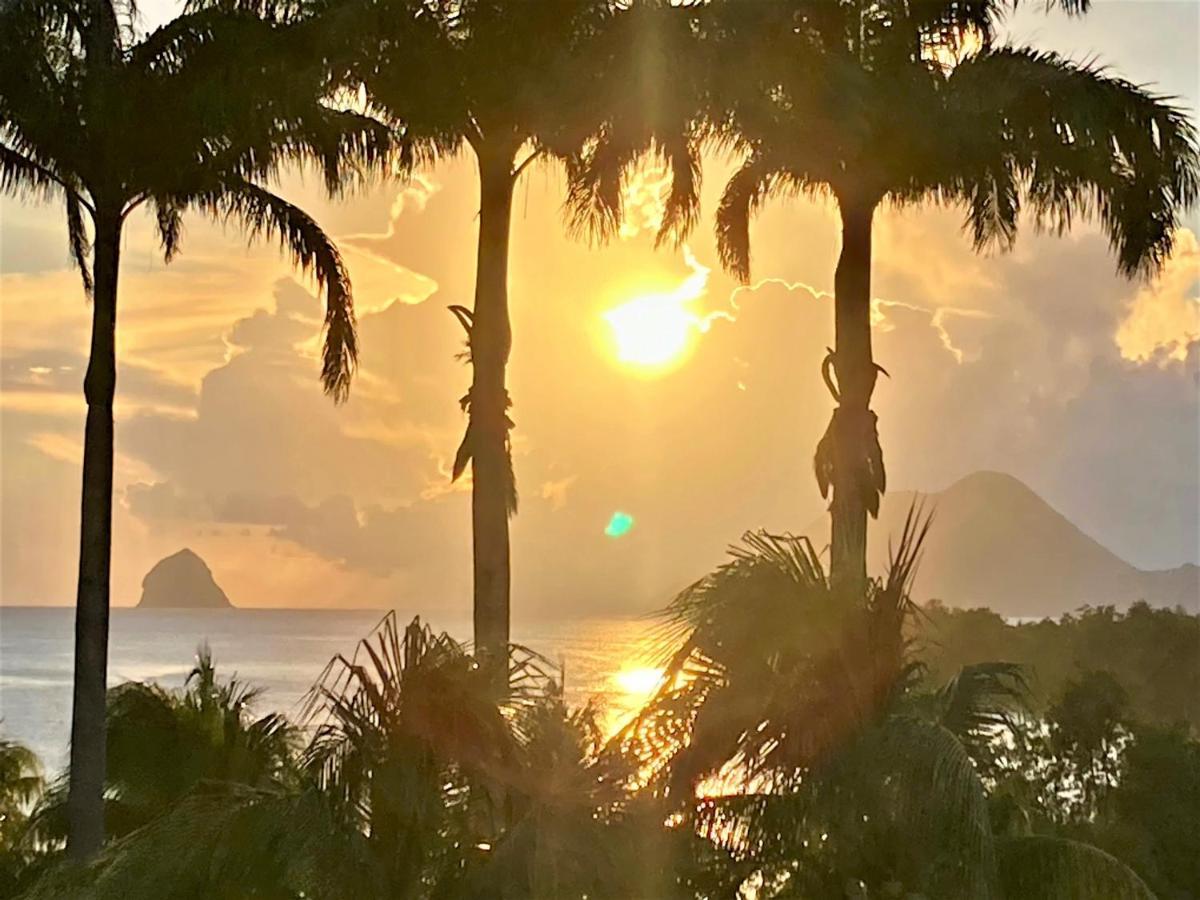 Superbe Studio Martinique Vue Rocher Du Diamant 圣吕斯 外观 照片